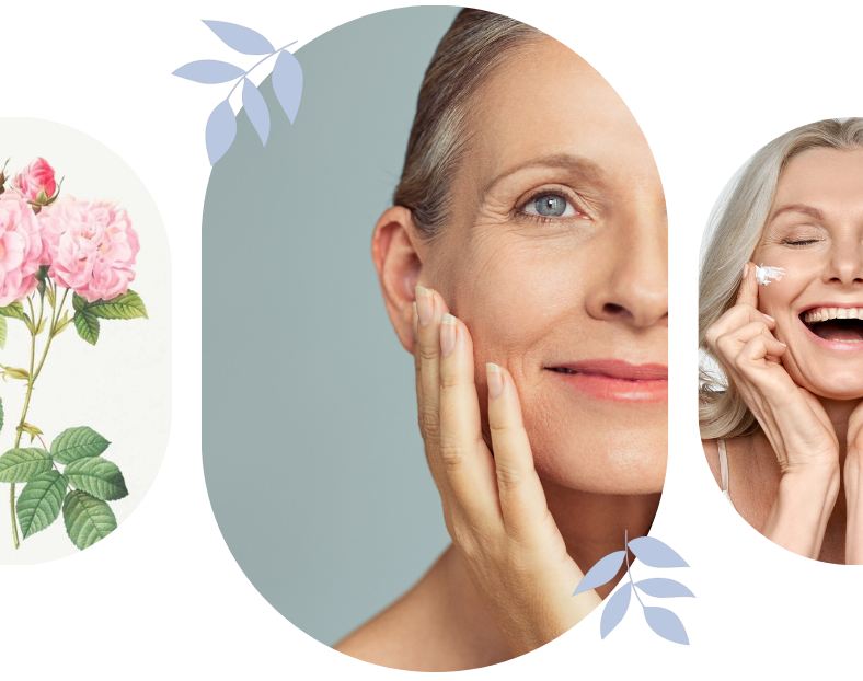 The Science Behind Mature Skin