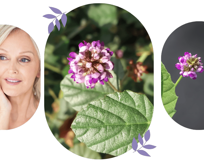 The #1 Natural Solution for Mature Skin