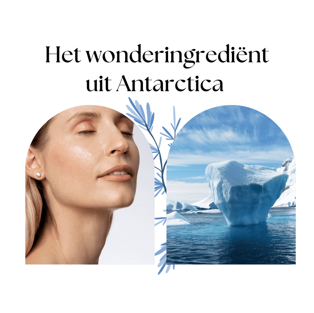 Het wonderingrediënt voor huidverzorging uit Antarctica