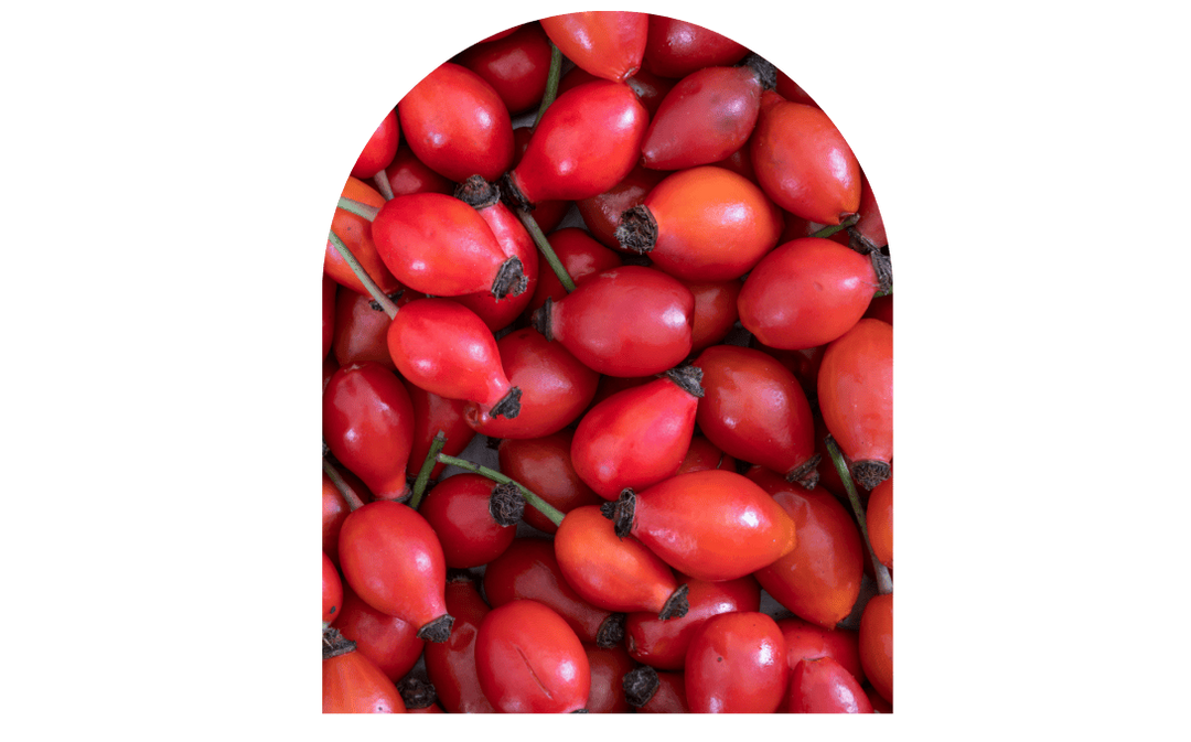 The Ultimate Anti-Aging Duo: Bakuchiol and Rosehip Oil