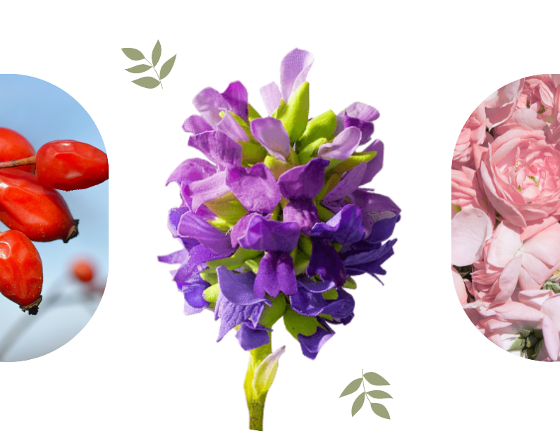 4 Ingredients that Supercharge Collagen Production