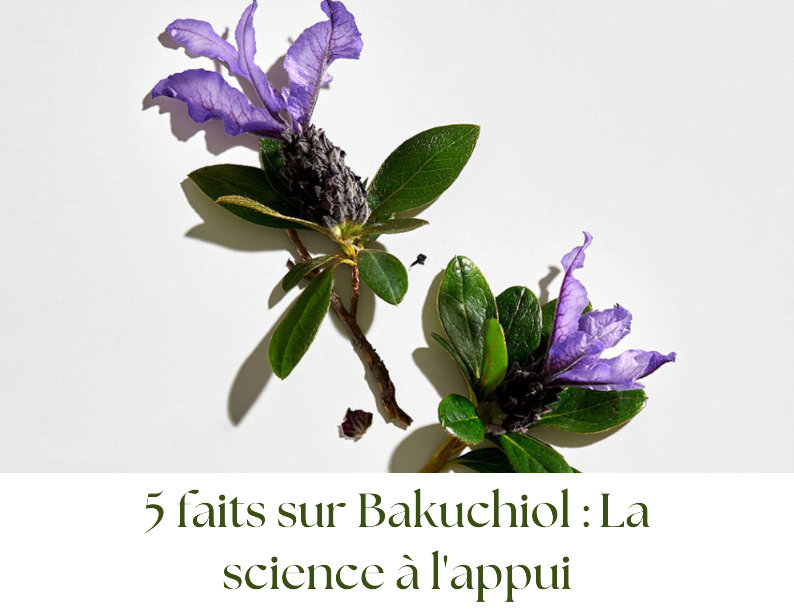 5 faits sur Bakuchiol : La science à l'appui