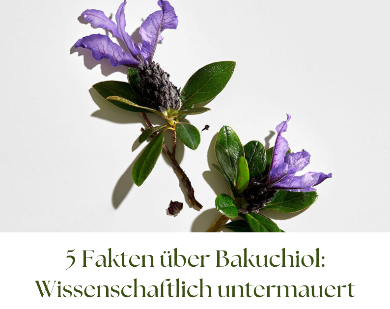 5 Fakten über Bakuchiol: Wissenschaftlich untermauert
