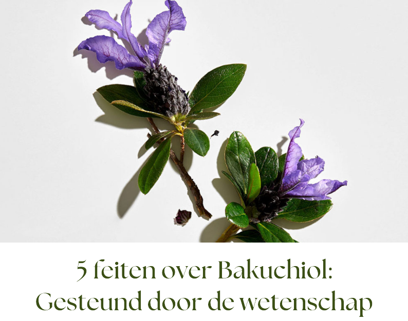 5 feiten over Bakuchiol: Gesteund door de wetenschap