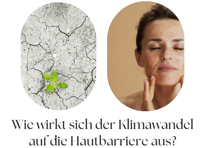 Wie wirkt sich der Klimawandel auf die Hautbarriere aus?