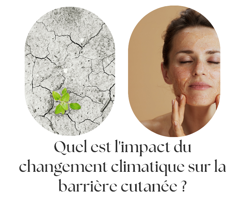 Quel est l'impact du changement climatique sur la barrière cutanée ?