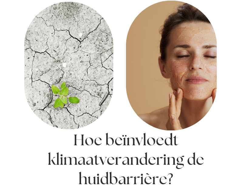 Hoe beïnvloedt klimaatverandering de huidbarrière?